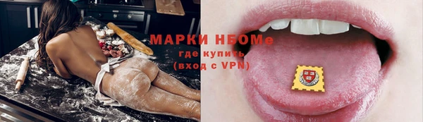 гашик Мегион
