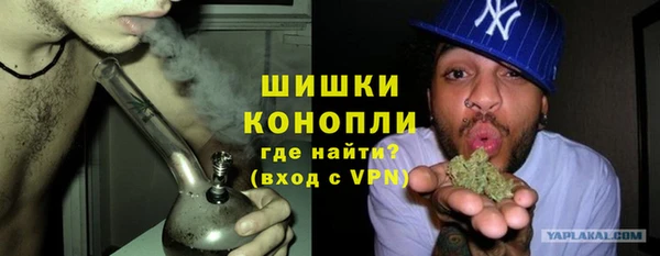 гашик Мегион
