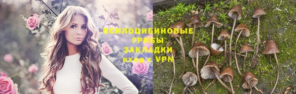 гашик Мегион