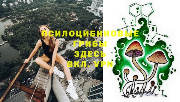 гашик Мегион