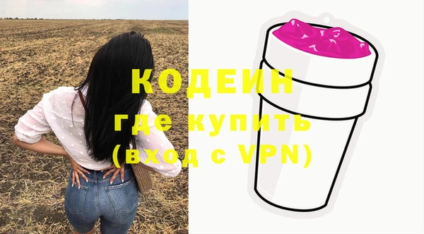 гашик Мегион