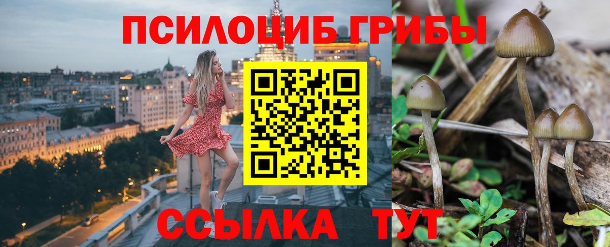 Галлюциногенные грибы Невинномысск