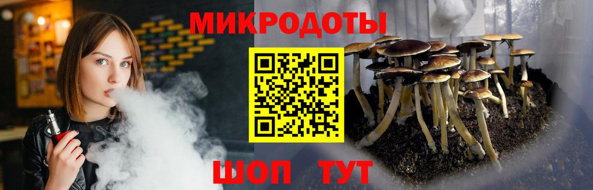  COCAIN Невинномысск