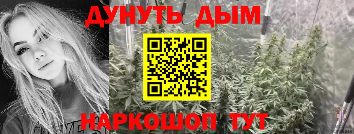 Конопля план  Шишки марихуана Ganja  Вход с VPN  Конопля SATIVA & INDICA  Невинномысск 